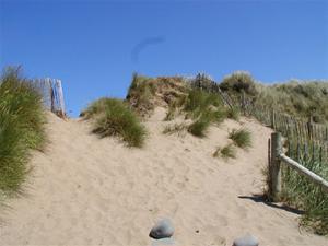Sand dunes on Northam Burrows