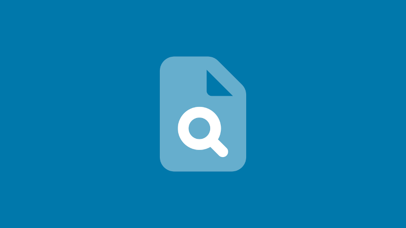 File Search Icon