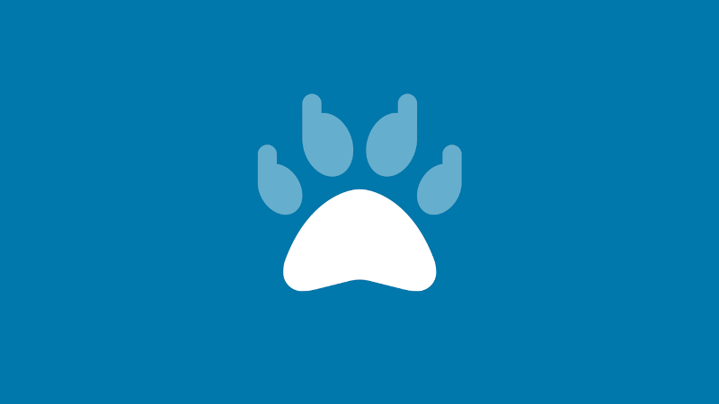 Paw with claws icon