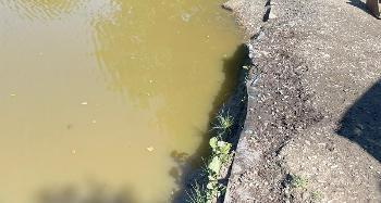 Kenwith Viewing Area before works