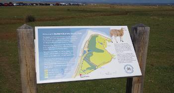 New Trails Map Board