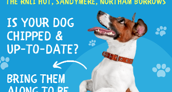 Picture of a dog and text CHECK A CHIP DAY MONDAY, 24TH OCTOBER 2022 10:00 AM AM 3:00 PM THE RNLI HUT, SANDYMERE, NORTHAM BURROWS IS YOUR Dog chipped and up to date bring them along to be checked