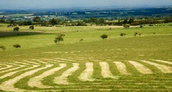 picture of green and ploughed fields