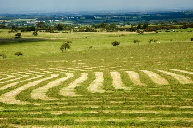 picture of green and ploughed fields