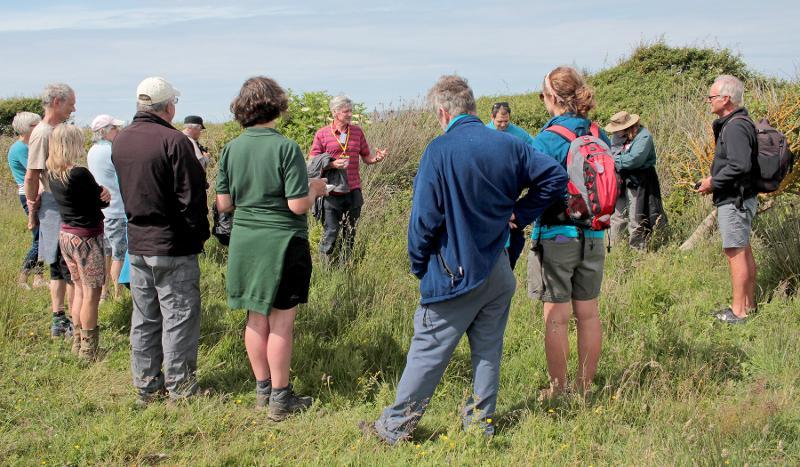 Group of volunteers being briefed by the team