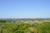 LCT 1D View north-east from Codden Hill towards the settlement of Landkey.