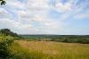 LCT 1F View towards Great Claw Moor conifer plantation.