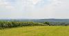 DCA 36: South-easterly view from near Holsworthy over pasture and woodland (including East Statfold Wood prominent on elevated land) with a distant view of Dartmoor. 
