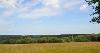 DCA 36: View from the south east over pasture towards Morecombe Planatation with two single farm wind turbine blades visible above the treetops.