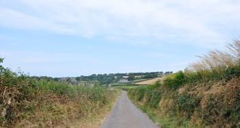 DCA 43: Characteristic narrow lane enclosed by sparsely topped Devon hedgebanks