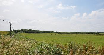 DCA 45: View across pasture fields enclosed by a mixture of fences and hedgerows