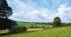 DCA 59: View towards across rolling farmland towards the densely wooded Taw Valley, including Burrowcleave Wood on the left.  