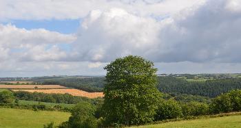 DCA 59: Extensive coniferous woodland within the main Taw Valley with a mix of pasture and arable on rural valley sides, viewed from the south of the DCA.
