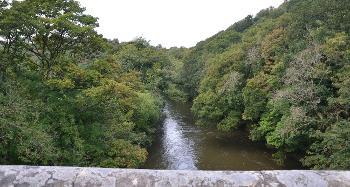 DCA 63: The River Torridge with valley sides clothed in dense deciduous woodland, viewed from a stone bridge south of Great Torrington.