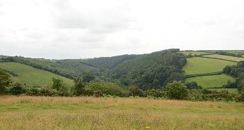 DCA 63: Tributary of the River Torridge viewed from Great Torrington Common, with dense mixed woodland (Pencleave Wood) on the valley sides and pasture above.