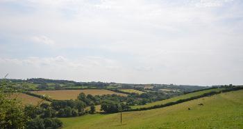 DCA 65: Tributary valley of the River Torridge near Thornbury; wooded along its course with pastoral farmland on the valley slopes. 