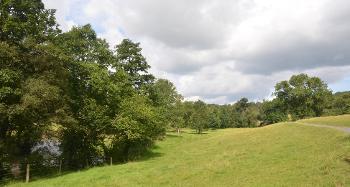 LCT 3C Wood pasture and parkland at King’s Nympton.
