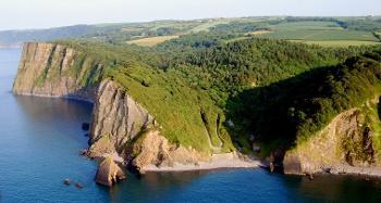 Figure 2.12: Oak woodland following down to the sea between high cliffs with forest and fields stretching landwards.