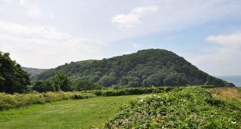Figure 2.15: A wooded hillfort overlooking the sea