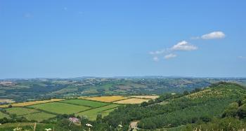 Figure 2.2 - Photograph from Codden Hill looking over a pastoral landscape.