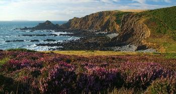 Figure 2.3: Picture of a coastal setting, cliffs with a pebbly beach below and heather in the foreground.