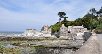 Figure 2.9: Trees above a house and a rocky seaside area.