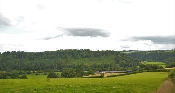LCT 3G Sloping pasture fields and wooded valley slopes of the Taw valley.