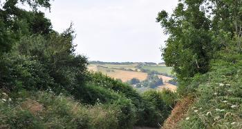 LCT 4C Steep, narrow combe road enclosed by trees and tall hedgebanks