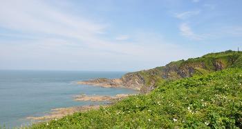 LCT 4H Cliffs at Hele Bay, north-east of Ilfracombe.