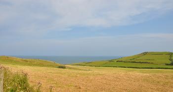 LCT 5B View across rolling pastoral farmland towards Cornborough Cliffs.