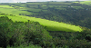northern Devon Fields