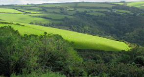 northern Devon Fields