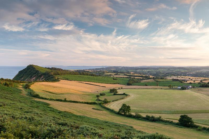 Picture of fields along the coast with a cloudy blue sky background.
