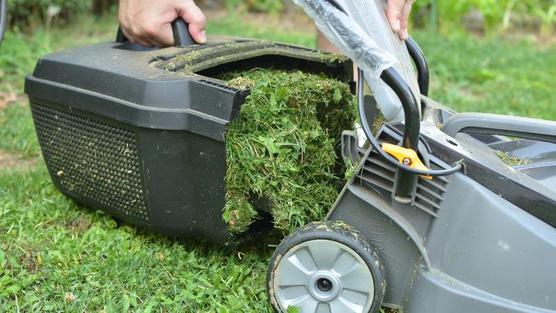Picture of someone taking the back off a lawn mower, showing all the cut grass inside