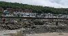 People rockpooling in Westward Ho, on the beach and surrounding rocks