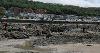Group of children with buckets looking into rocks at Westward Ho! as part of a rockpooling activity