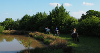 Horses with riders along the forest at Stibb Cross in the sunshine