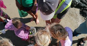 Northam Burrows Free Fun Summer Activities